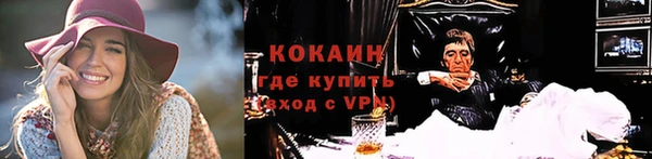 сатива Михайлов