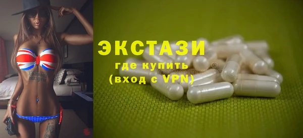 индика Надым