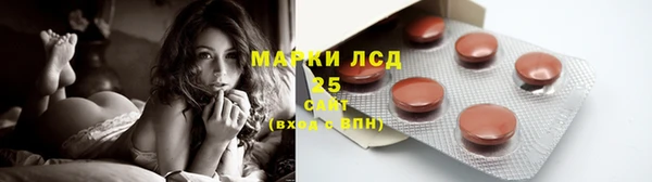 сатива Михайлов