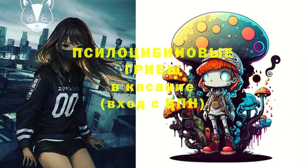 сатива Михайлов