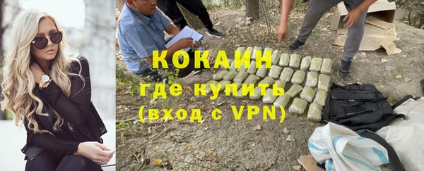сатива Михайлов
