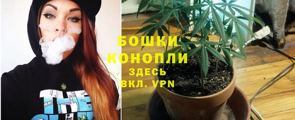 сатива Михайлов