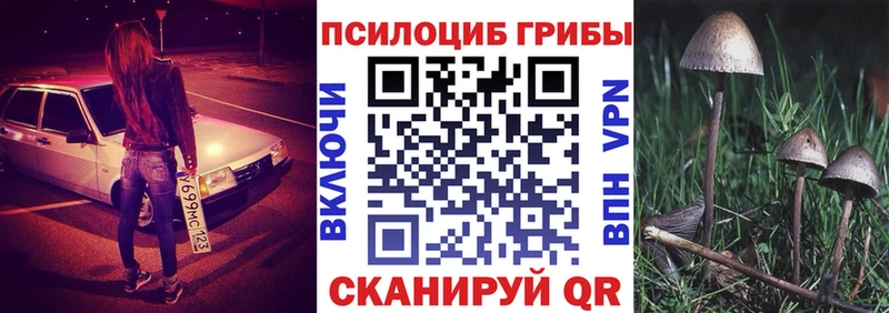 Псилоцибиновые грибы GOLDEN TEACHER  Оленегорск 